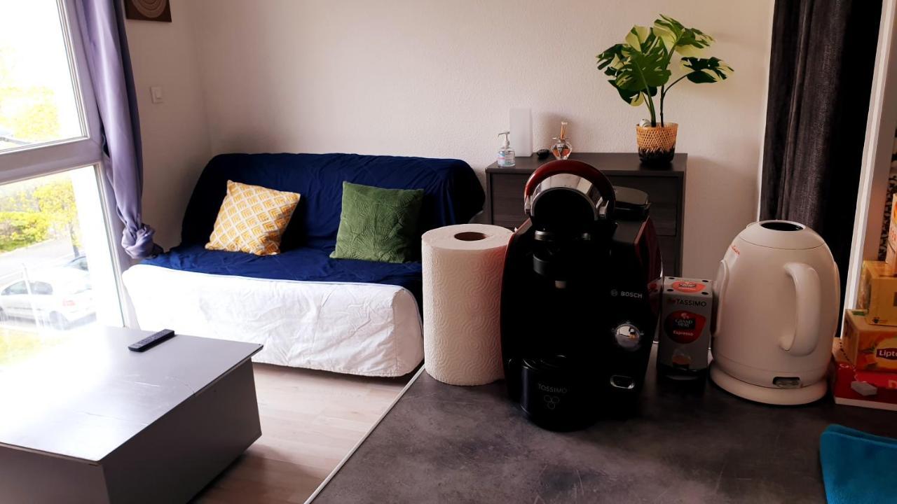 Apartmán Studio Individuel - Le Musset & Parking Gratuit Devant L'Immeuble Grenoble Exteriér fotografie