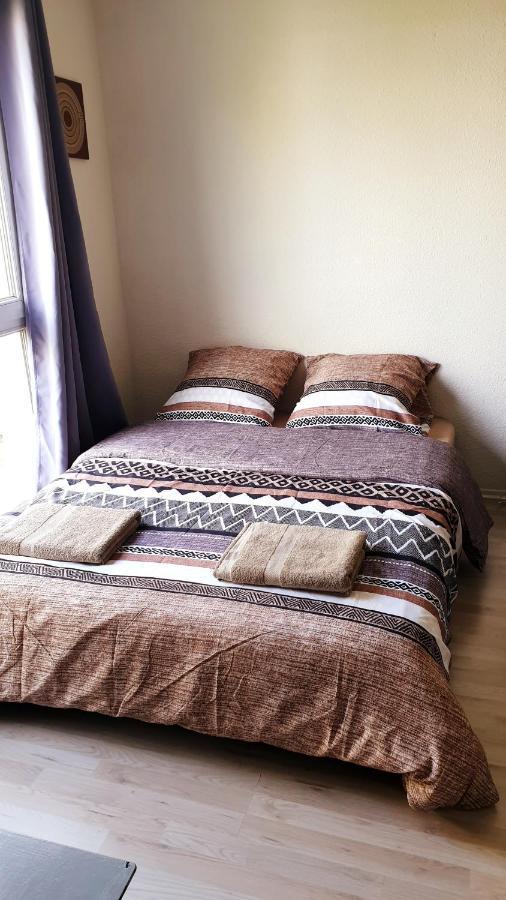 Apartmán Studio Individuel - Le Musset & Parking Gratuit Devant L'Immeuble Grenoble Exteriér fotografie